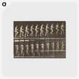 1-51_Eadweard-Muybridge_postcard