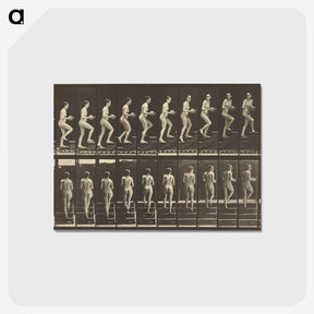1-51_Eadweard-Muybridge_postcard