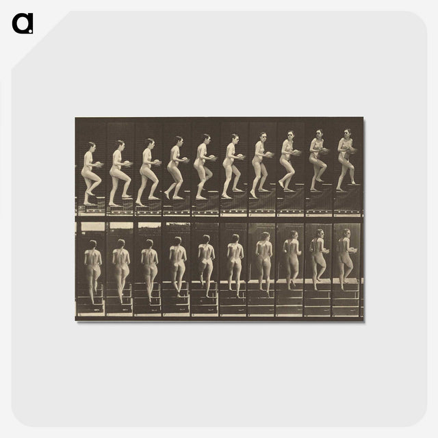 1-51_Eadweard-Muybridge_postcard