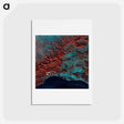 アートポストカード-Florence from Skylab
 - 上空からの地球 Postcard.