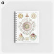 1-51_Ernst-Haeckel_memo