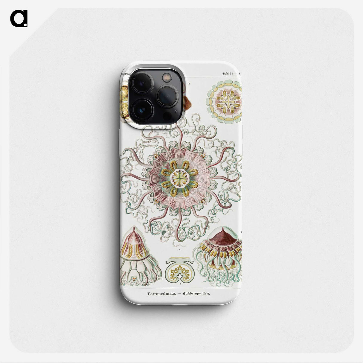 1-51_Ernst-Haeckel_phone