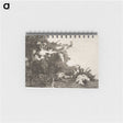1-51_Francisco-de-Goya_memo