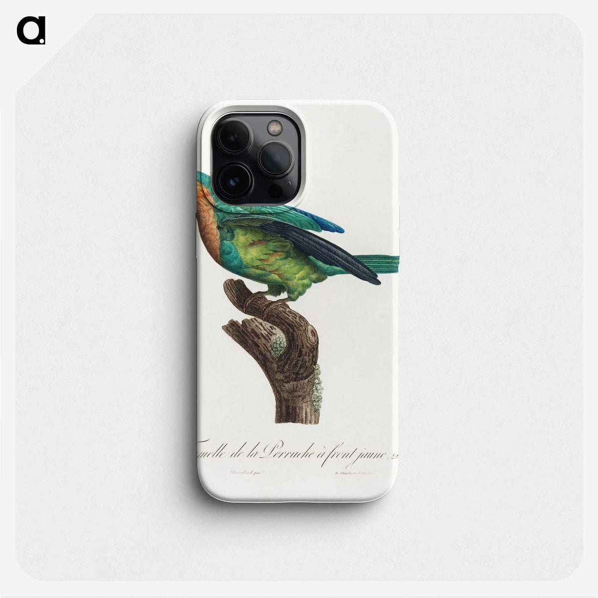 1-51_Francois-Levaillant_phone