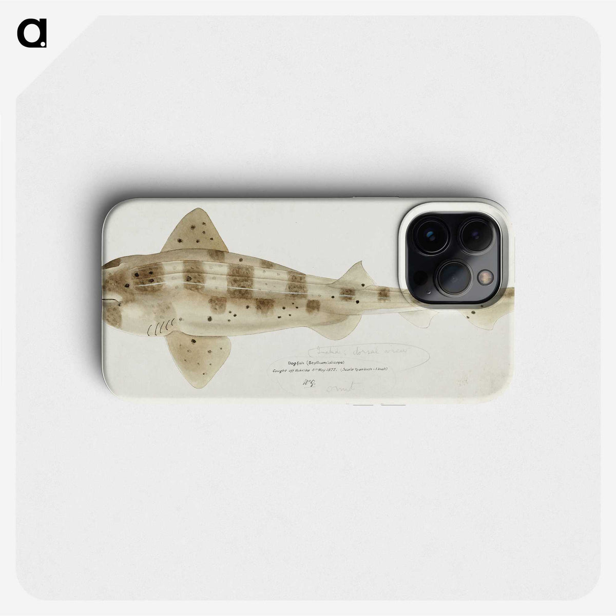 1-51_Frank-Edward-Clarke_phone