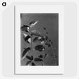 1-51_Frederick-Charles-Brockett_picture