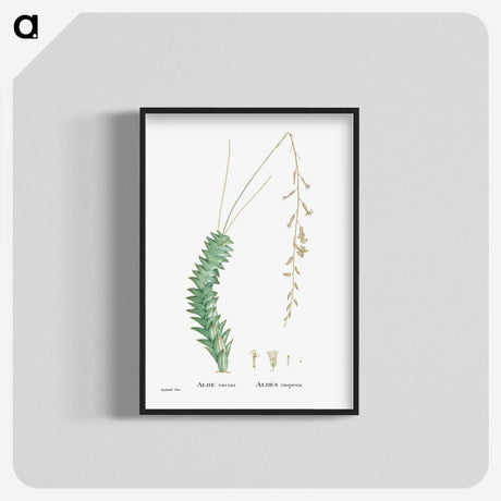 1-51_Histoire-des-Plantes-Grasses_blk-crop