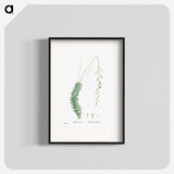 1-51_Histoire-des-Plantes-Grasses_blk