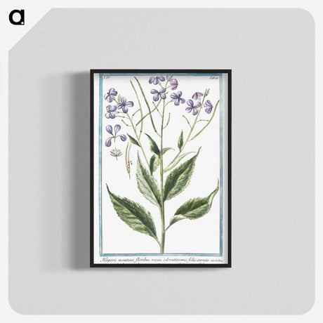 1-51_Hortus-Romanus-Botanical-Plates_blk-crop
