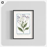 1-51_Hortus-Romanus-Botanical-Plates_blk