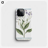 1-51_Hortus-Romanus-Botanical-Plates_phone