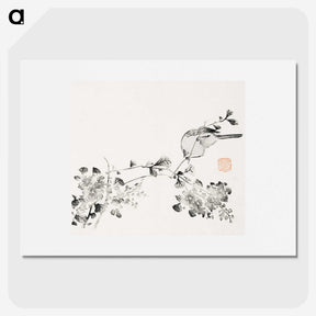 1-51_Hu-Zhengyan_picture