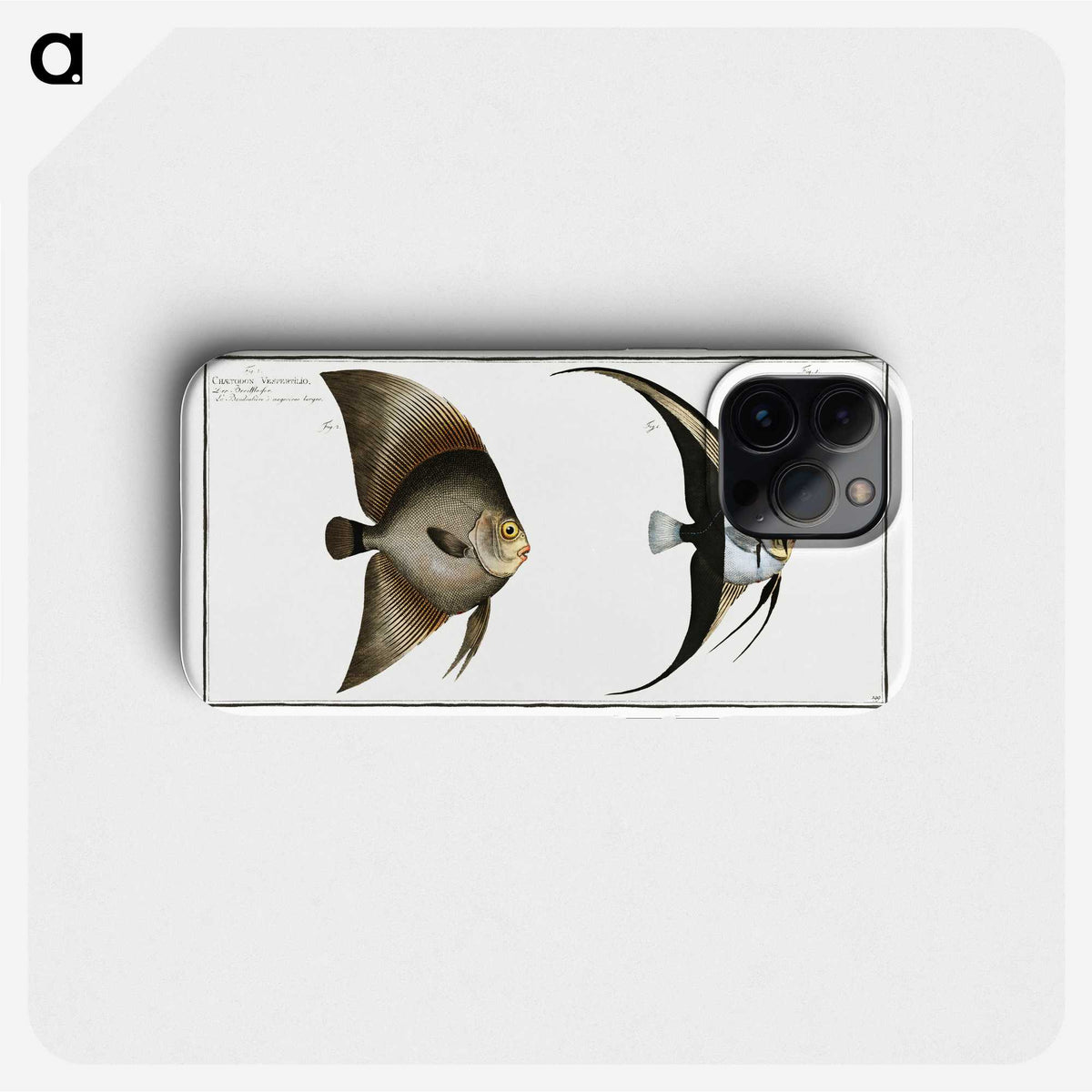1-51_Ichtyologie-ou-Histoire-naturelle_phone