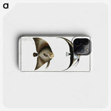 1-51_Ichtyologie-ou-Histoire-naturelle_phone