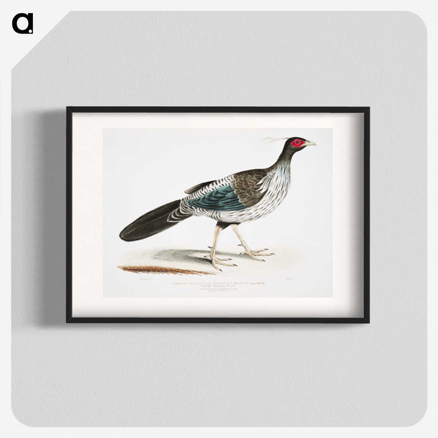 1-51_Indian-Zoology_blk