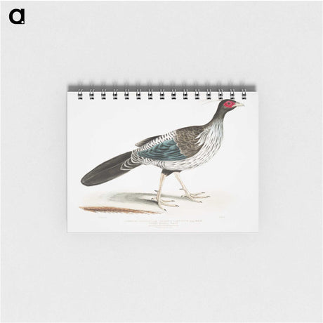 1-51_Indian-Zoology_memo