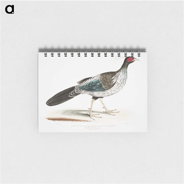 1-51_Indian-Zoology_memo