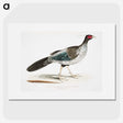 1-51_Indian-Zoology_picture