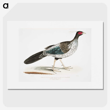 1-51_Indian-Zoology_picture