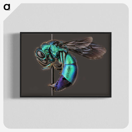 1-51_Insects-Unlocked-Project_blk-crop