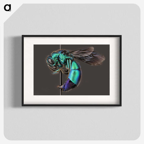 1-51_Insects-Unlocked-Project_blk