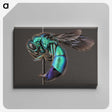 1-51_Insects-Unlocked-Project_canvas