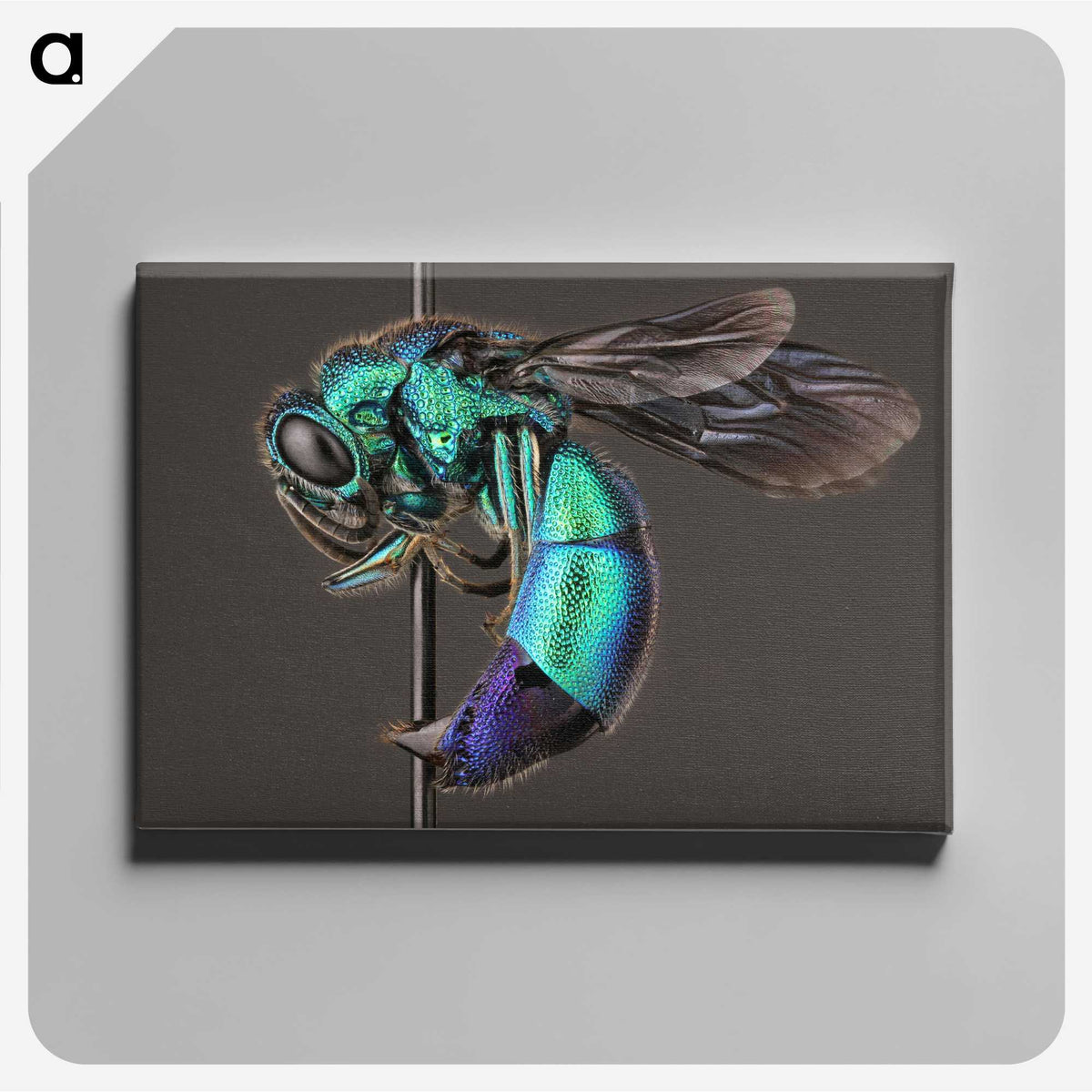 1-51_Insects-Unlocked-Project_canvas