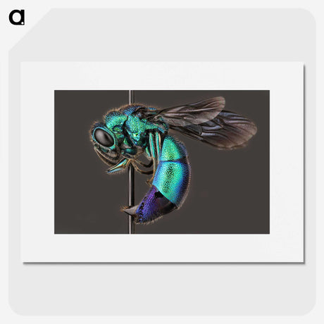 1-51_Insects-Unlocked-Project_picture