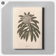 1-51_James-Heath_canvas