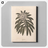 1-51_James-Heath_canvas
