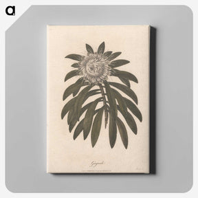 1-51_James-Heath_canvas
