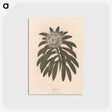 1-51_James-Heath_postcard