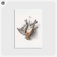 アートポストカード-Two dead birds - ジャン ベルナール Postcard.