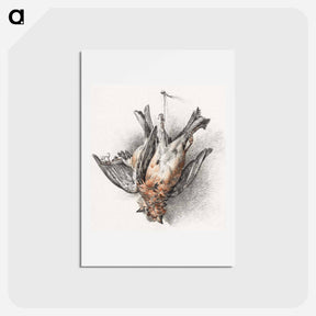 アートポストカード-Two dead birds - ジャン ベルナール Postcard.