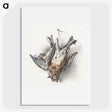 1-51_Jean-Bernard_picture