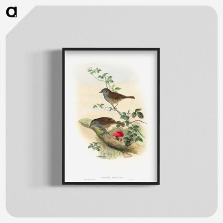 1-51_John-Gould_blk-crop