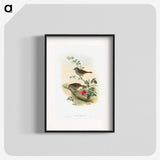 1-51_John-Gould_blk