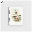 1-51_John-Gould_memo