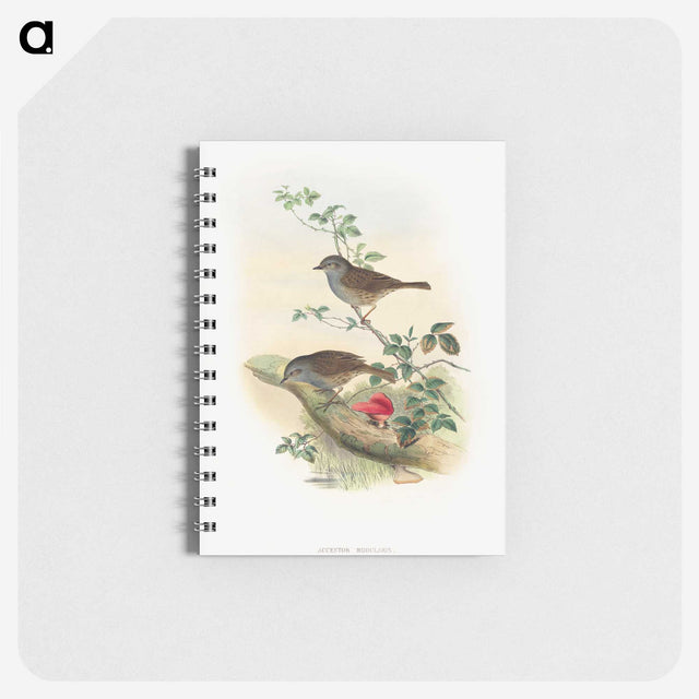 1-51_John-Gould_memo