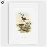 1-51_John-Gould_picture