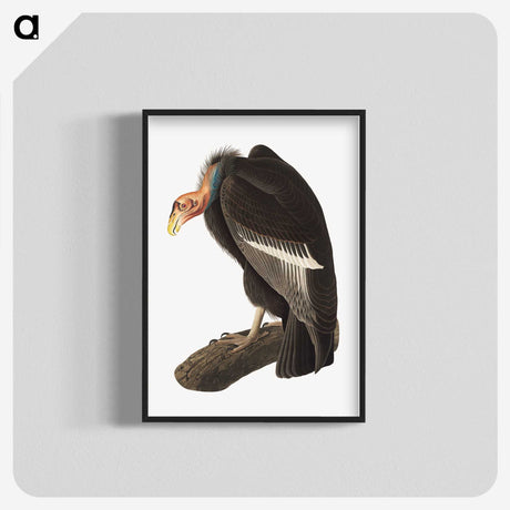 1-51_John-James-Audubon_blk-crop