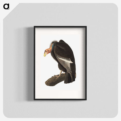 1-51_John-James-Audubon_blk