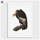 1-51_John-James-Audubon_picture