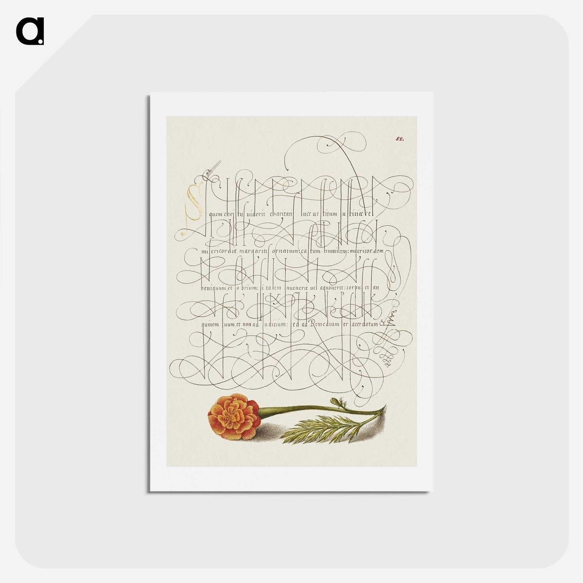 1-51_Joris-Hoefnagel_hagaki