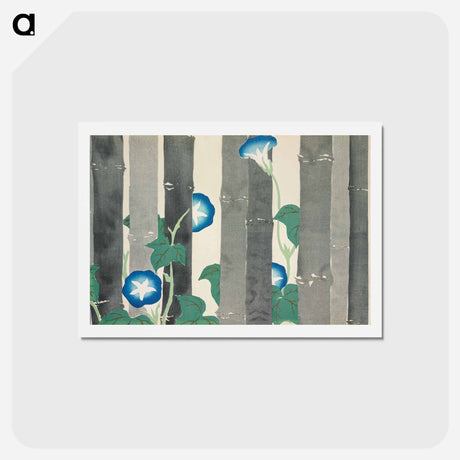 アートポストカード-Morning glories from Momoyogusa–Flowers of a Hundred Generations - 神坂 雪佳 Postcard.