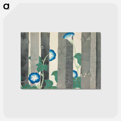 アートポストカード-Morning glories from Momoyogusa–Flowers of a Hundred Generations - 神坂 雪佳 Postcard.