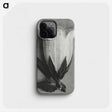 1-51_Karl-Blossfeldt_phone