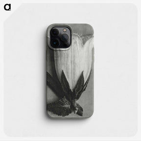 1-51_Karl-Blossfeldt_phone