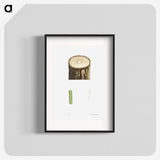 1-51_La-Botanique_blk