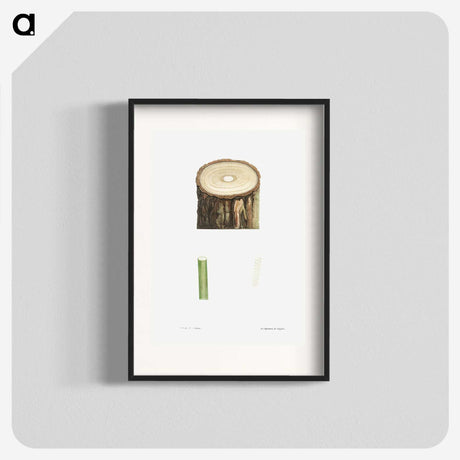 1-51_La-Botanique_blk